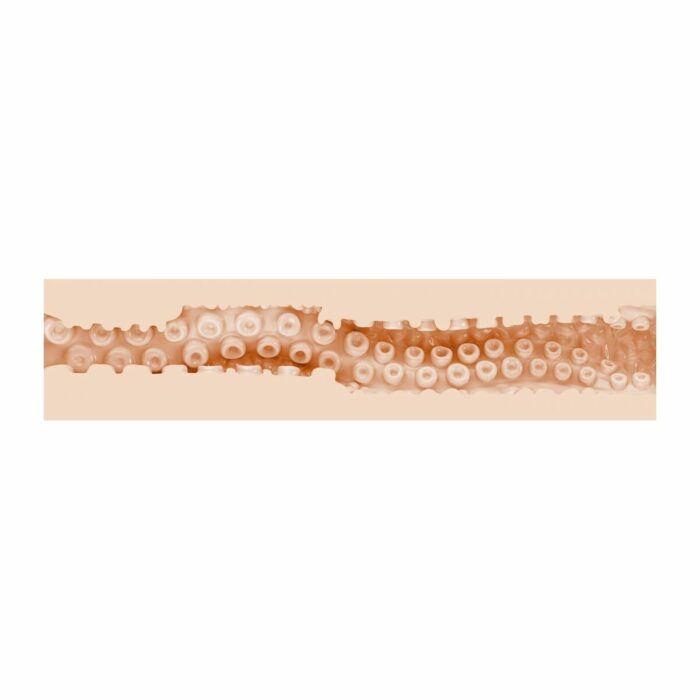 M0407024_4