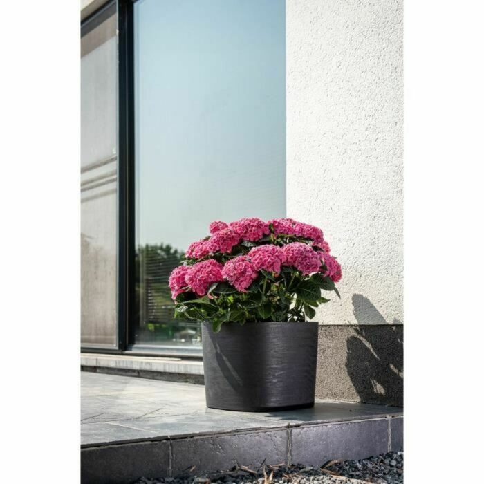 S71009570_3