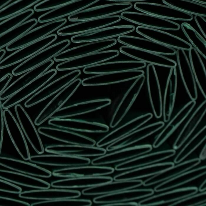 S71017295_1