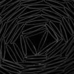 S71017297_1